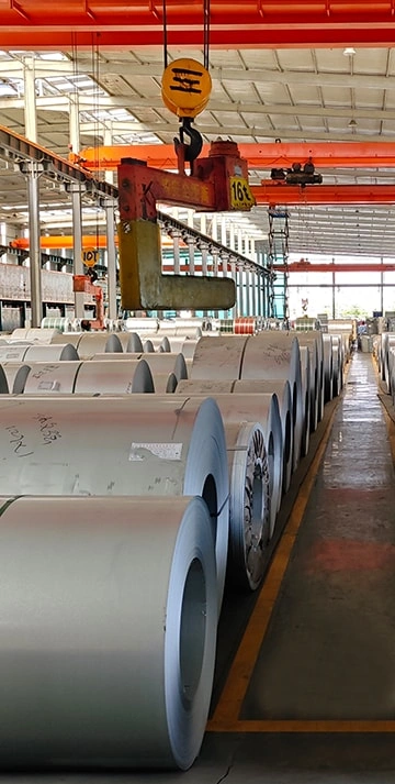 Galvanized/Galvalume Steel Coil/Sheet